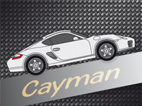 987.2 Cayman + S (2009-2012)