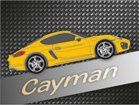 981 Cayman + Cayman S + GTS (2014-2016)