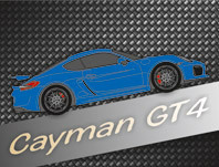 981 Cayman GT4 (2015-2016)